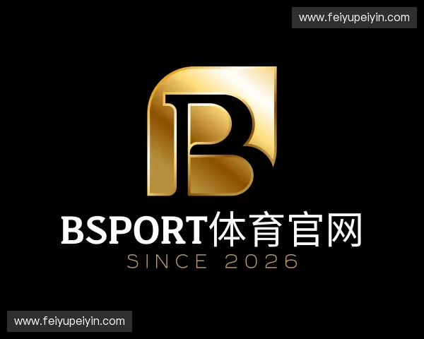 解读BSport体育官网